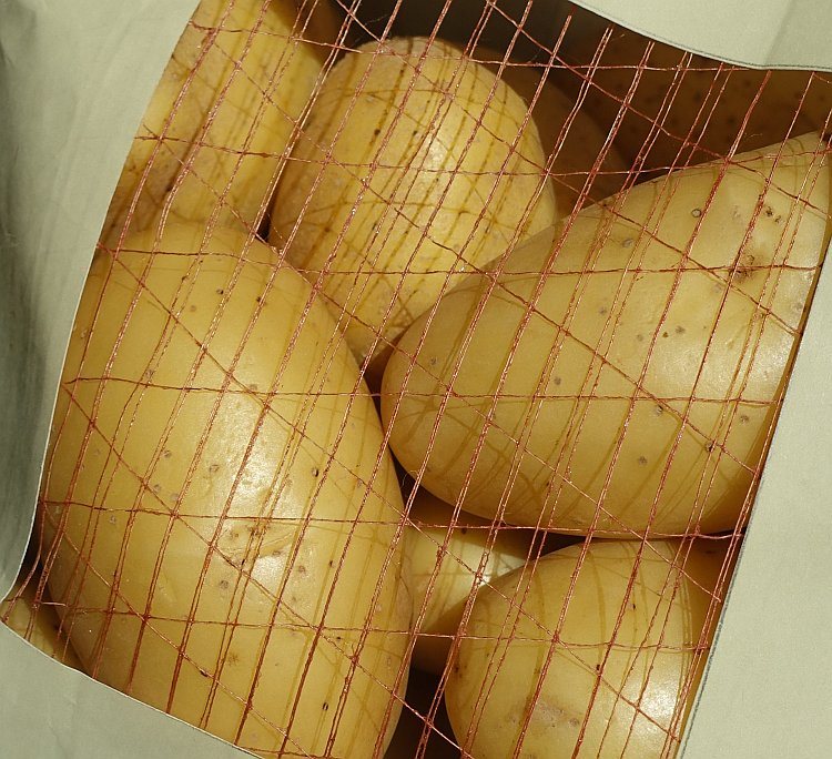 rinforzo resistente allo strappo imballaggi carta cartone alimenti bevande rinforzo resistente allo strappo imballaggi carta cartone alimenti bevande