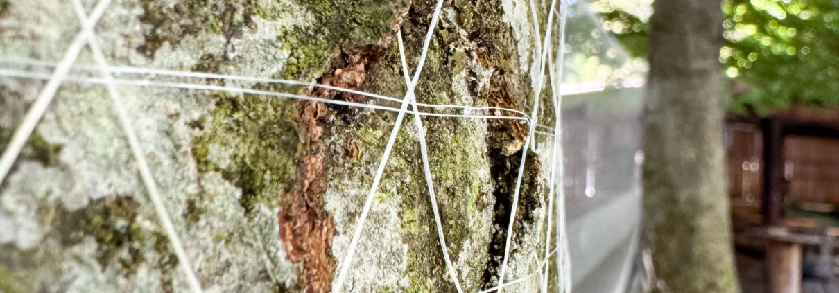 image00003